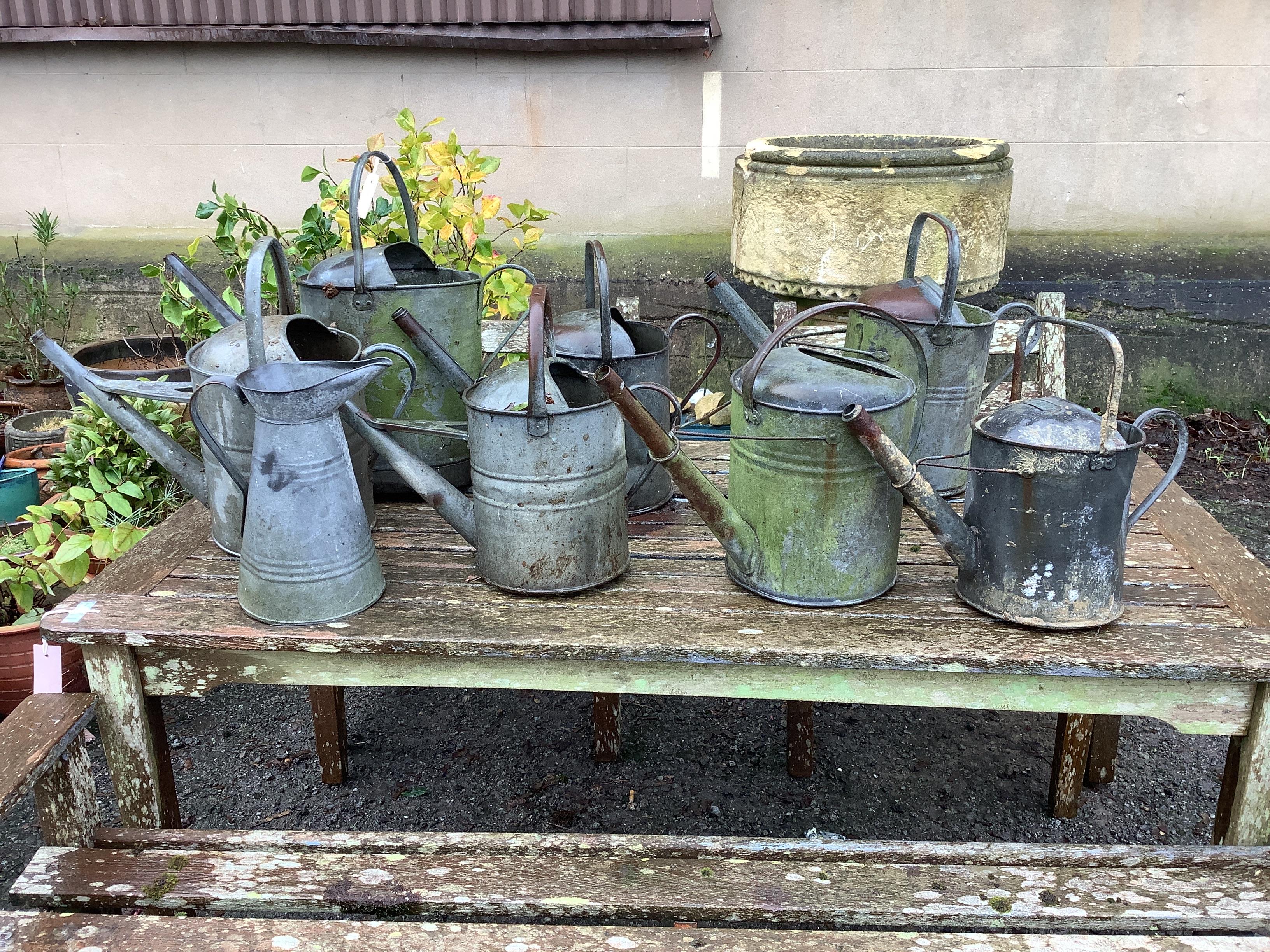 Seven vintage galvanised watering cans and a jug